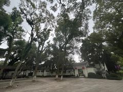 -江心屿景区