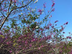 -天台山赤城山景区