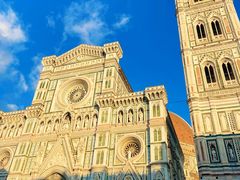 -圣母百花大教堂穹顶