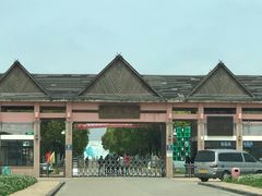 -上海都市菜园