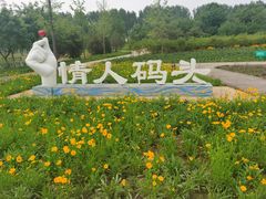 -东郊湿地公园