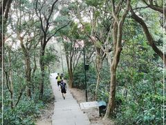 -梧桐山风景名胜区