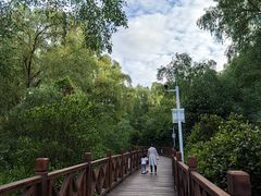 -大亚湾红树林城市湿地公园