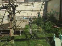 -青藏高原野生动物园