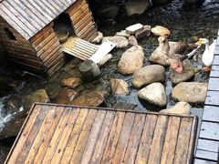 -上海千禧海鸥大酒店