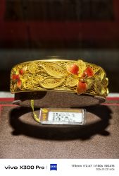 -中国黄金(北京旗舰店)