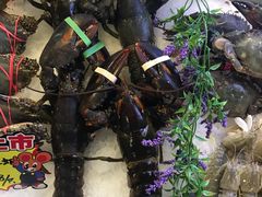 -渔娘渔家丹东海鲜(东直门店)