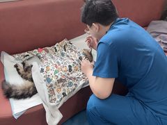 -东日国际动物医院·CT·心脏专科(桃源分院)