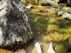 -广州白江湖森林公园