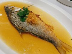酒香脆皮鲜鲥鱼-世博源公馆·本帮融合菜·主题包厢·江景餐厅