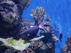 -多彩贵州城极地海洋世界