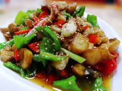 爆炒野生狗鱼块-煲来饱去冷水鱼
