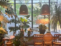 -自由生长植物工作室(深港花卉中心店)