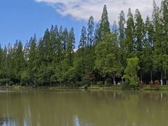 -桃花岛公园