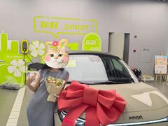 -上海浦东smart汽车全功能店(金桥店)