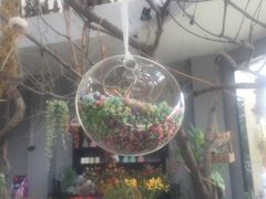-发现花馆西餐厅FA Restaurant