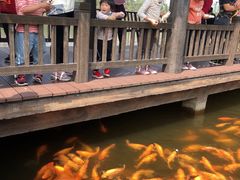 -枫香湖儿童公园