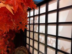 -上川阁剧本杀·狼人杀·血染钟楼(虹口店)