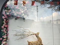 -杨梅坑