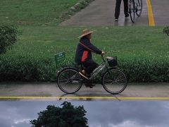-芦苞胥江祖庙
