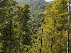 -宁波五龙潭景区
