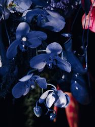 -南昌喜来登酒店·宴会厅