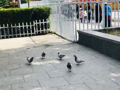 -宗角禄康公园