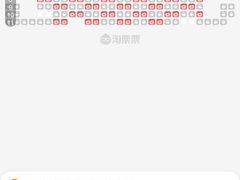 -武商摩尔影城(国广IMAX激光店)