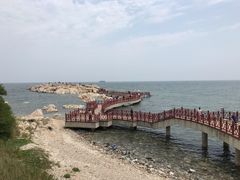 -养马岛旅游度假区