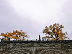 -金堂县云顶石城风景区