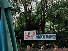 -广州长隆飞鸟乐园