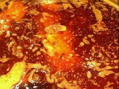 -花鲢鱼头火锅(春城东路店)