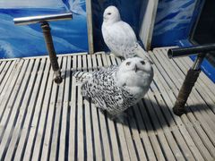 -成都浩海立方海洋公园