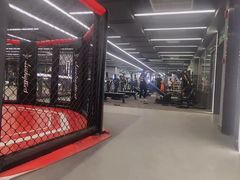 -金吉鸟健身游泳