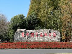 -东平国家森林公园