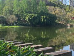 -重庆彩云湖湿地公园