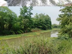 -桤木河湿地公园