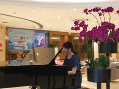 -珠海怡景湾大酒店