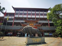 -江湾神木园