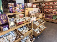 -长春堂顺时而饮(前门店)