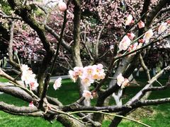景点-荆川公园