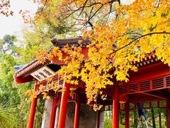 -钓鱼台国宾馆