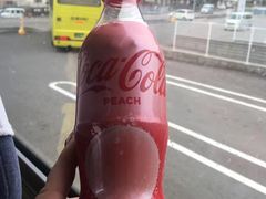 -美国村