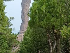 -磬锤峰森林公园