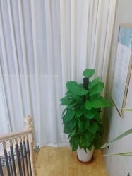 -唯伊美塑身美养连锁