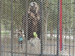 -长白岛森林公园