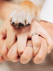 -格调婚纱摄影 (福州总店)