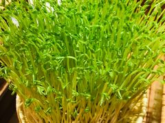 -好彩猪肚鸡(正弘城店)