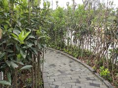 -枫香湖儿童公园