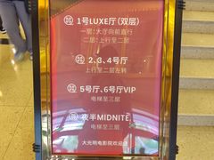 -大光明电影院(南京西路店)